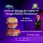 Curso de manejo de colgajo en cirugía plástica $USD